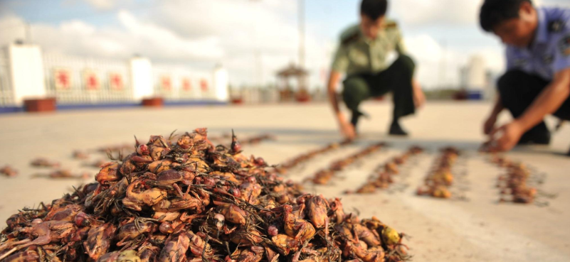 运用法治手段有效防范重大公共卫生风险，切实保障人民群