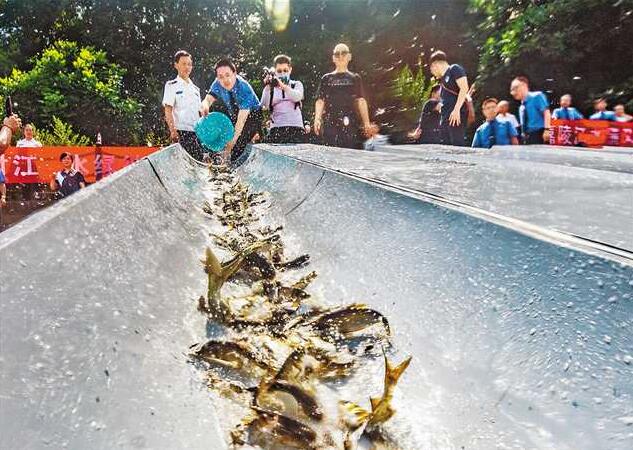 建立健全生态环境损害赔偿制度 完善流域横向生态补偿机制 落实环保税政策 重庆加快推动生态文明体制改革