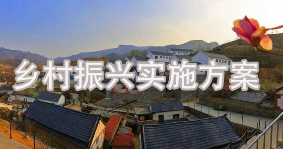 乡村振兴实施方案