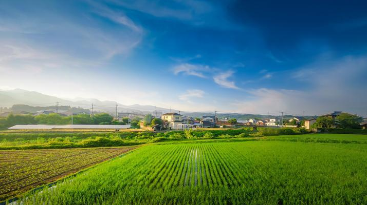 首届全国乡村振兴职业技能大赛举行